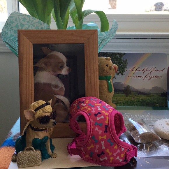 RIP my angel baby Honey😭😭🙏🙏💕4-3-2020🙏 - Picture 3 of 8